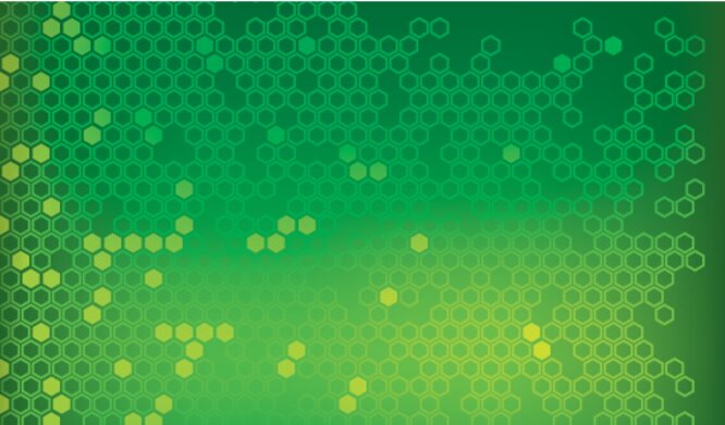 Green and Yellow Hexagon Grid Back thumbnail image