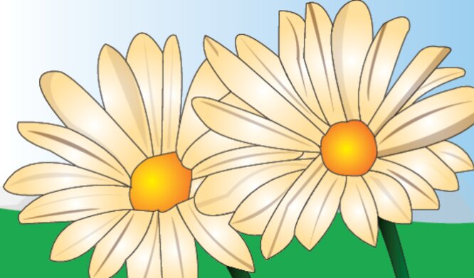 Landscape - Daisy Flowers Back thumbnail image