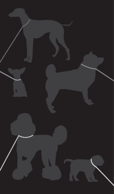 Dogs - All Tied Up 2.0 Back thumbnail image