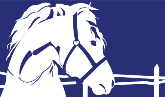 Modern Horse Back thumbnail image