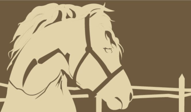 Landscape - Country horse Back thumbnail image