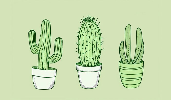 cactus Back thumbnail image